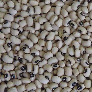 Black Eye Beans (US)