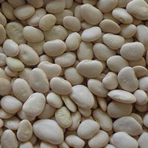 Butter Beans (Colour Sortex Quality)