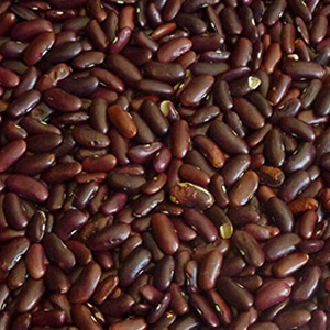 Dark Red Kidney Beans