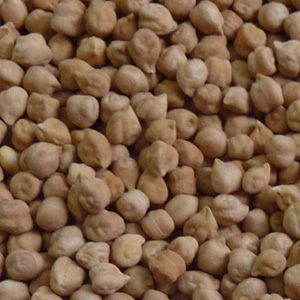 Yellow White Chickpea