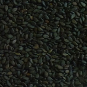 Black Sesame Seeds (Science)