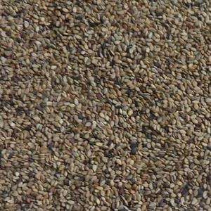 Yellow Sesame Seeds